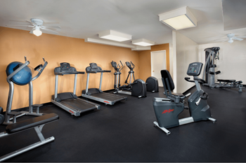 A gym with cardio equipment and weights on a black floor